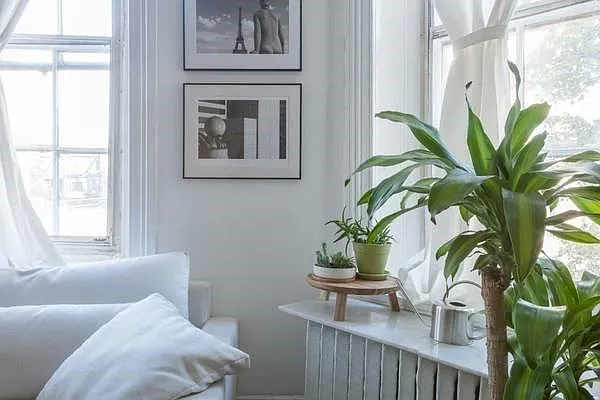 24 E Eager St #3F — Photo 7