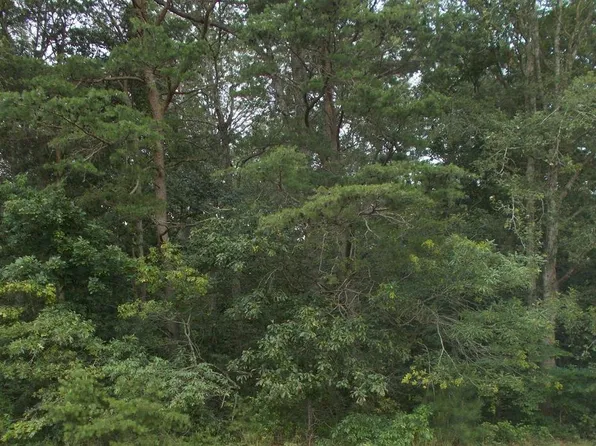 4907 Payne Rd, Hurlock, MD 21643