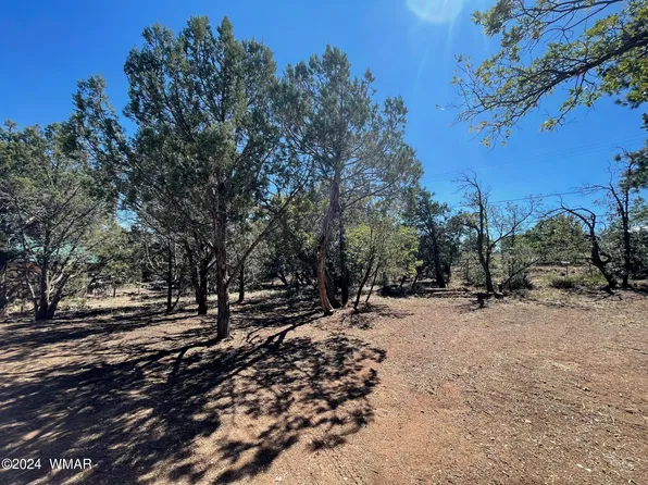 521 W Stratton, Show Low, AZ 85901