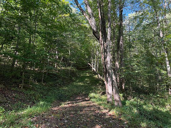 5th image of 0 Theo Proffitt Rd