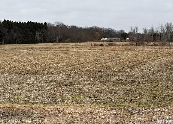 5th image of Vl N Branch Rd