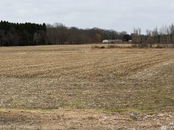 Vl N Branch Rd, North Branch, MI 48461