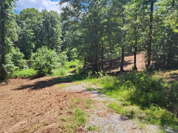 375 Goins Hill Rd, Ten Mile, TN 37880