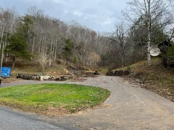 29188 Chestnut Rdg, Meadowview, VA 24361