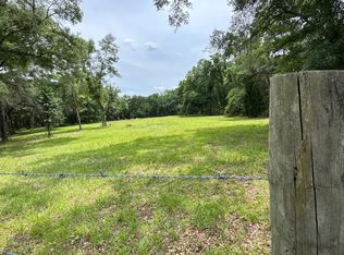 390 NE Castagna Ln, Mayo, FL 32066