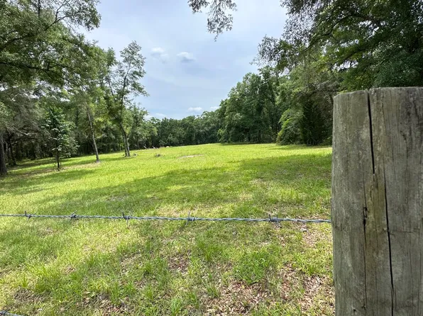 390 NE Castagna Ln, Mayo, FL 32066