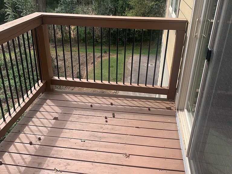 Primary Patio