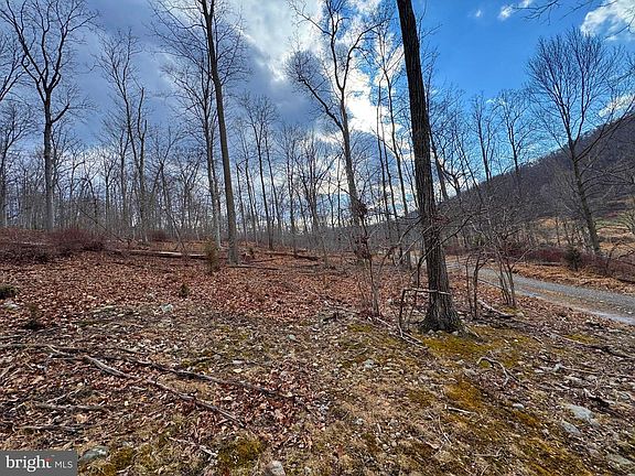 3rd image of Frog Hollow Rd