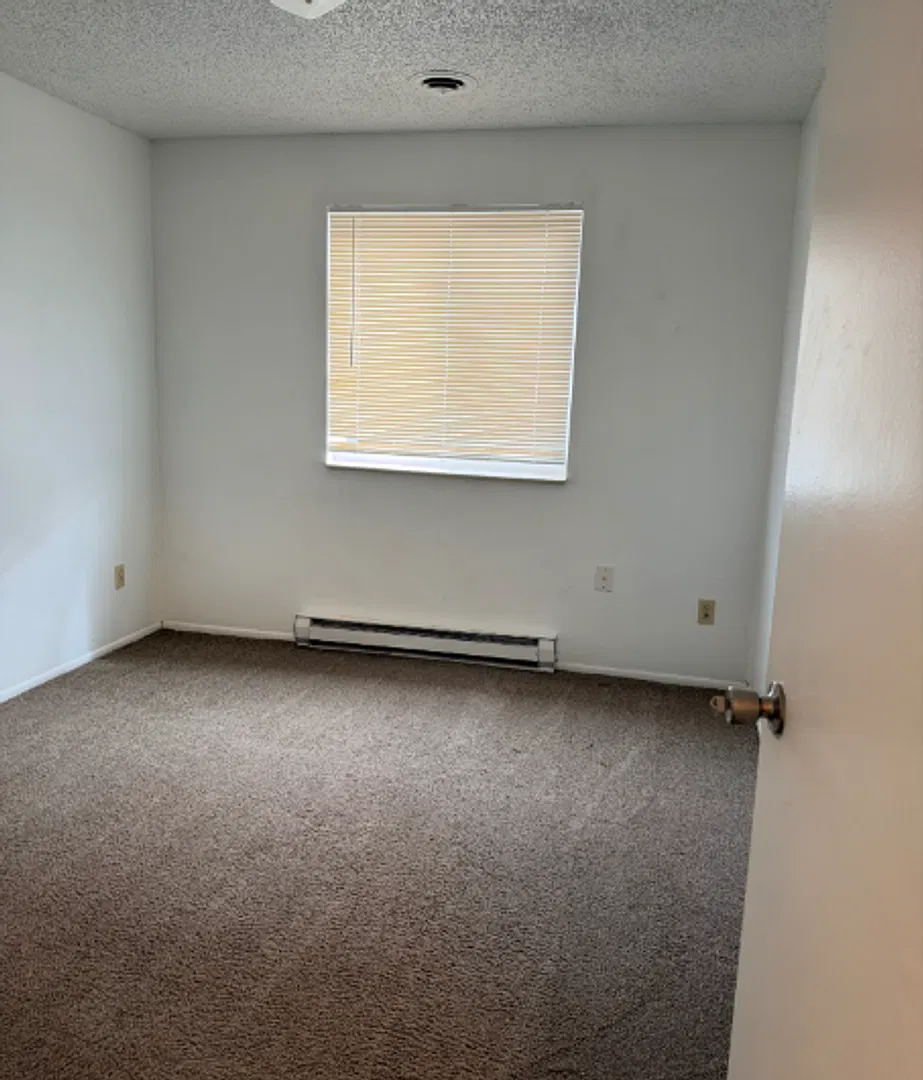 Cute 2 Bed 1 Bath Frederick Home — Photo 2