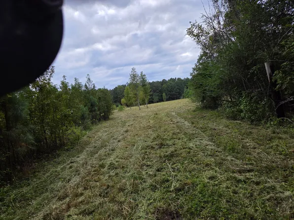 0 Flatwoods Rd, Reevesville, SC 29471