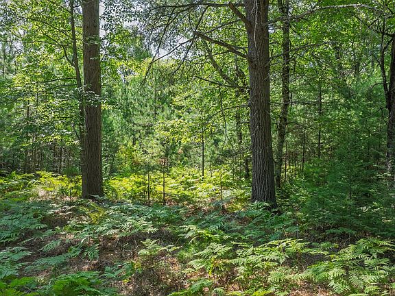 4th image of Off Watersmeet Lake Rd #3&4