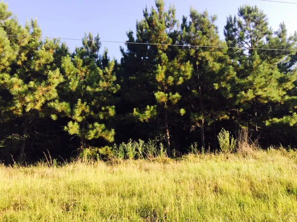 Fm 31, Elysian Fields, TX 75642