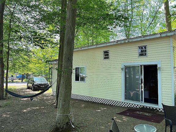TREES GREAT FOR HAMMOCKS