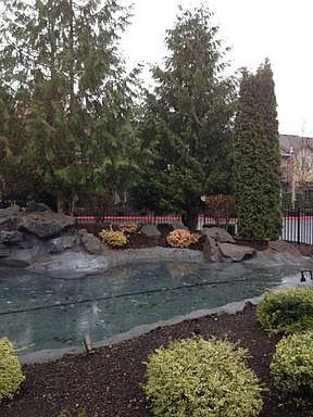 3rd image of 5264 NE 121st Ave #Q138