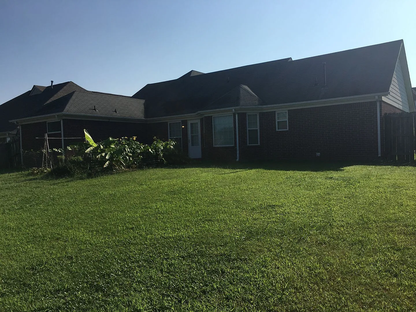 Charming Cordova home off Houston Levee. Huge fenced in back yard! — Photo 4
