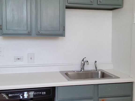Kitchen dish washer