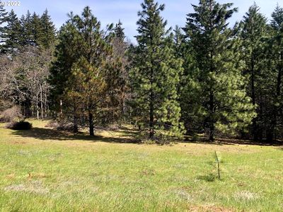 Meadows Loop #34, Lyle, WA, 98635