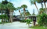 House of Palms Exterior