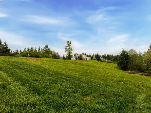 6215 Green Mountain Rd, Woodland, WA 98674