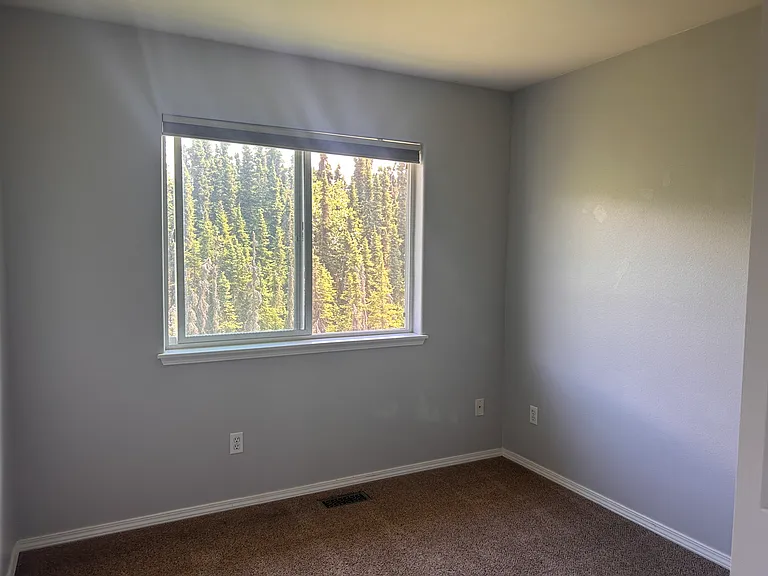 2672 Lauren Creek Loop — Photo 11