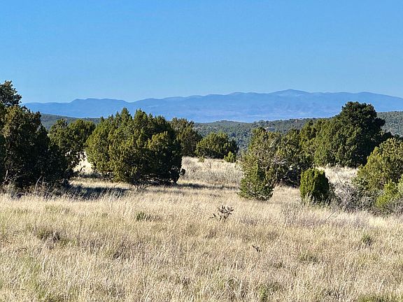 5th image of 9 Mustang Mesa Trl