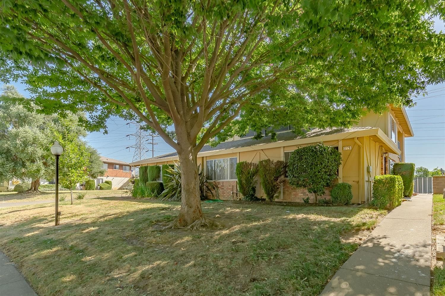 テラローザ　ONE NIGHT CLASSDAY ジャパメタ Matte Satin Knotted One-Shoulder Sheath Dress | David's Bridal