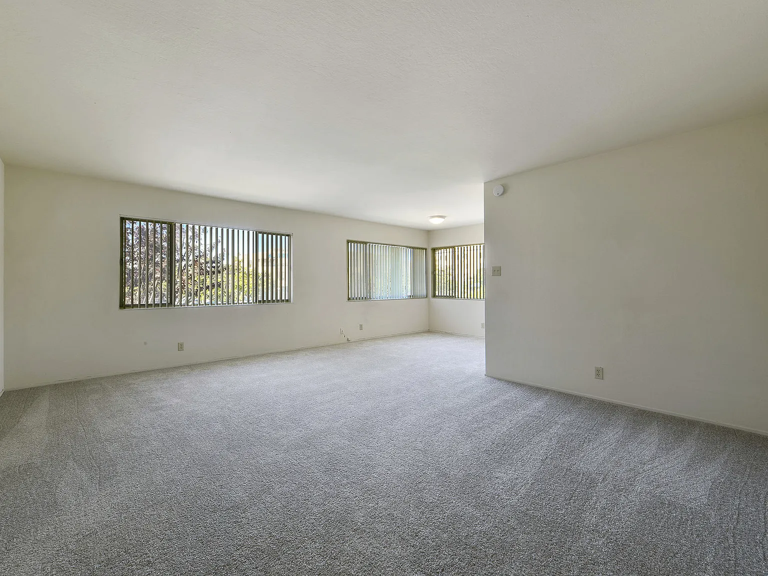 Driftwood Apartments — Photo 2