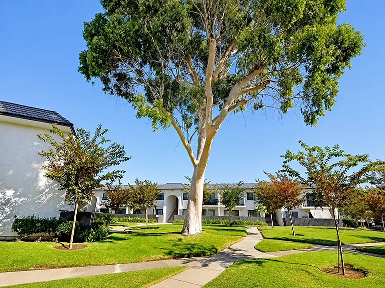 Westgate Apartments in Linda Vista — Photo 8