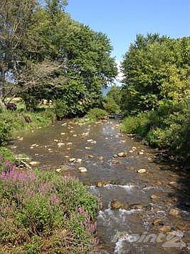 Colliers Creek (Morning View)