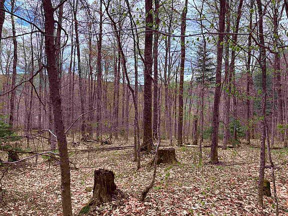 4th image of TBD Boyce Road #3