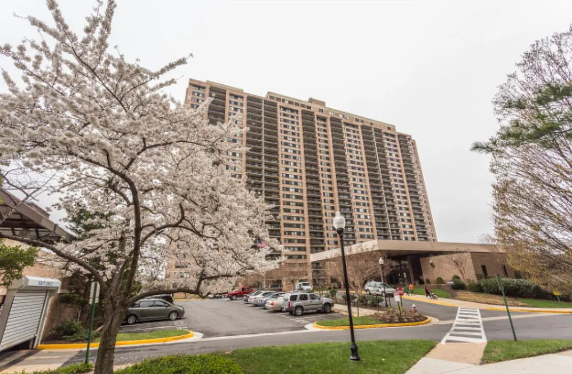 1 bed, 914 sqft, $2,250 — Photo 1