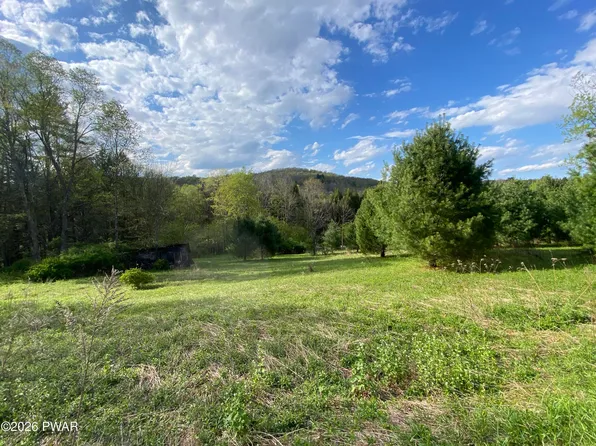0 John Davis Rd, Beach Lake, PA 18405