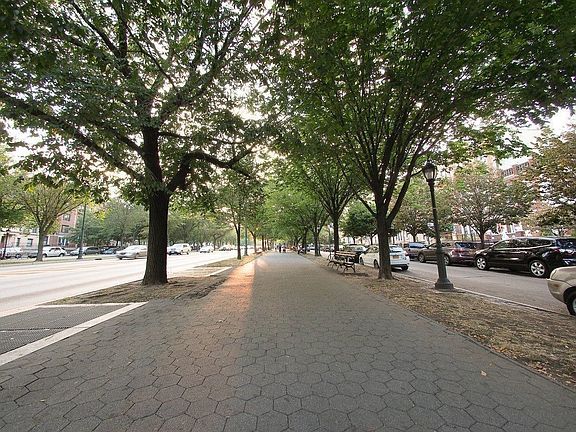 3rd image of 519 Eastern Pkwy #1