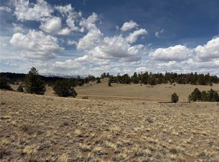 2839 Fitzsimmons Rd, Hartsel, CO 80449