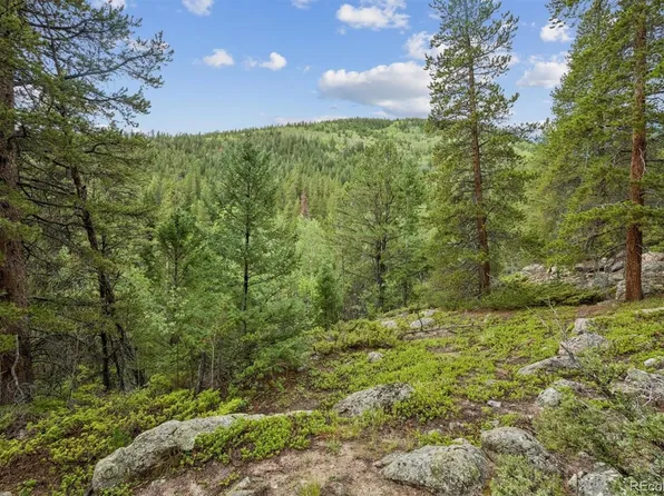 001 Fall River Road, Idaho Springs, CO 80452