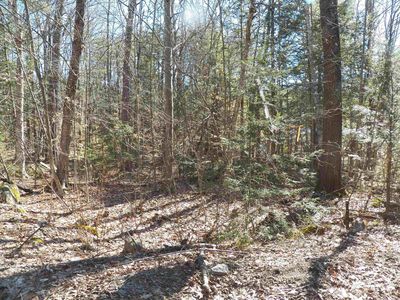 14-194 Seminole Road, Hillsborough, NH, 03244