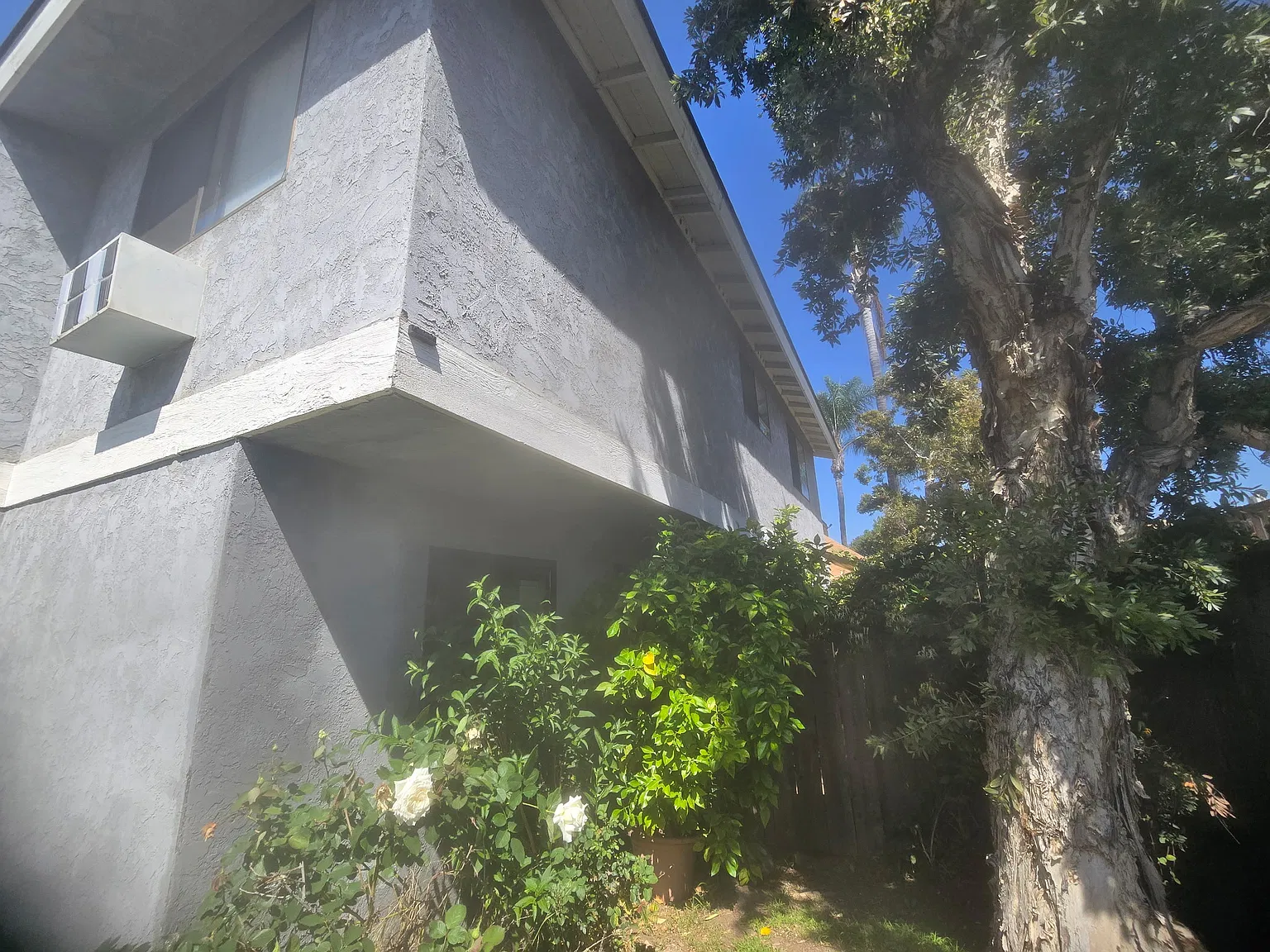 2 bed, $1,795 — Photo 2
