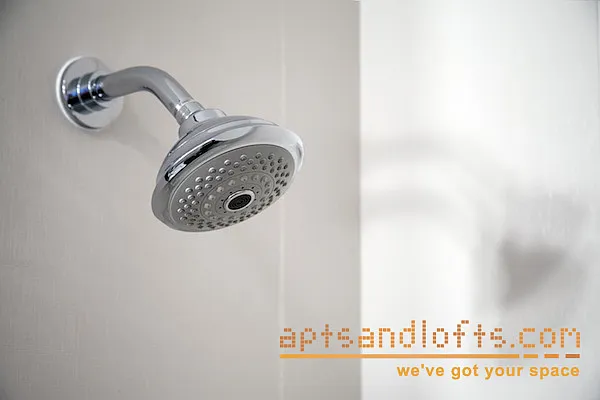 Rented by aptsandlofts.com | media 55