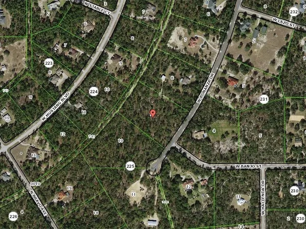 4024 W Bonanza Dr, Beverly Hills, FL 34465
