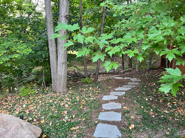 path to creek