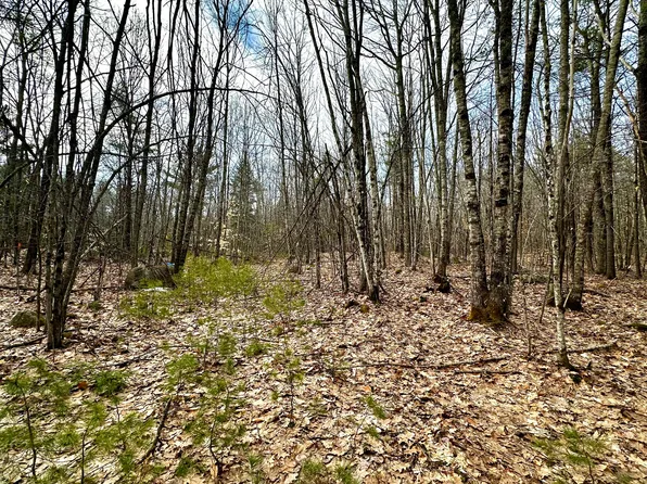 332 Folly Road, Sebago, ME 04029