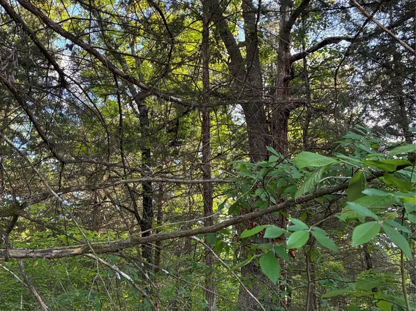 2900 McBurnett Dr, Honey Grove, TX 75446