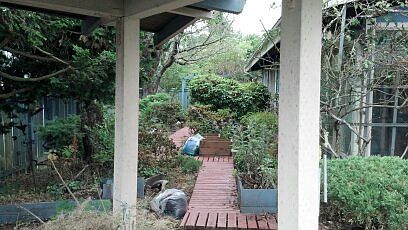 Back/Side Yard