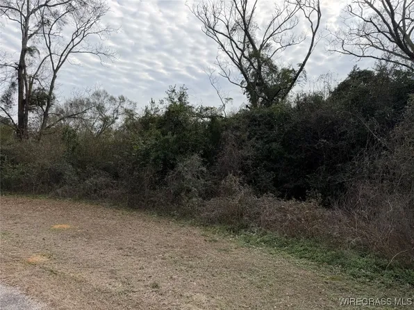 Langston St, New Brockton, AL 36351