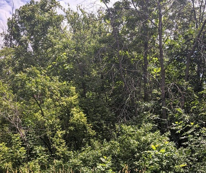 2nd image of 10018 N Blacksoil Ln