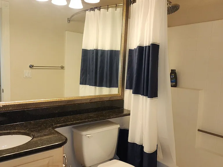 270 E Flamingo Rd #133 — Photo 6