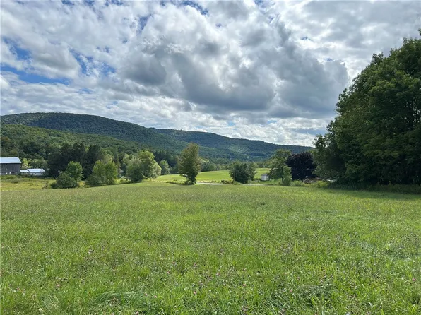Gladstone Hollow Rd #1, Andes, NY 13731