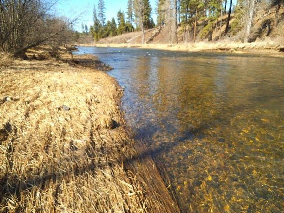 4th image of Nka Tyson Creek Road