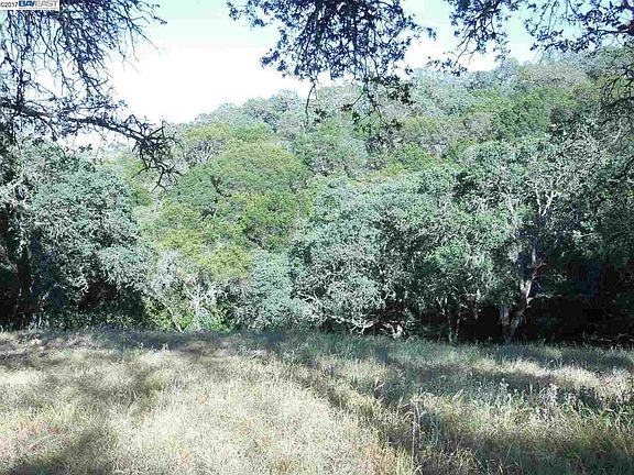 5th image of 3008 Bragdon Way