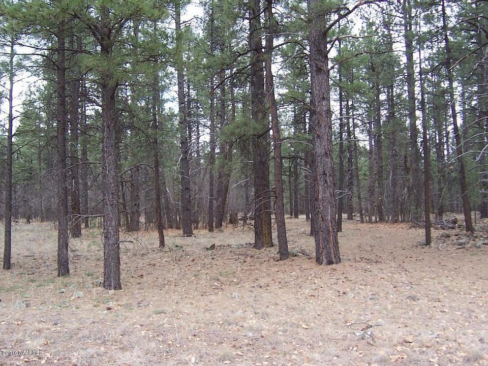1st image of 3600 E Pine Top Dr